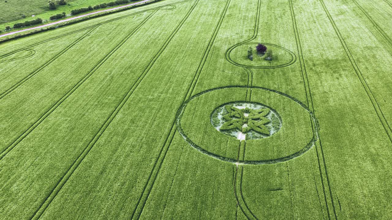 Intricate Celtic knot crop circle formation aerial view over Sutton Veny barley vegetation 2025