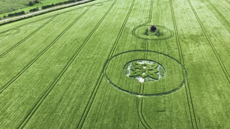 intricate celtic knot crop circle formation aerial view over sutton veny barley vegetation 2025