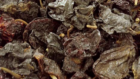 close up shot of dried poblano, indoor, handheld shot