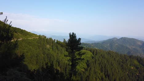 on the top of the mountain looking at snowy peaks at distances