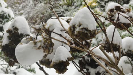 primera tormenta de nieve seria del invierno este año-2021, en el reino unido aquí en oakham en el condado de rutland