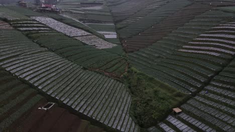 Vista-Aérea,-Una-Vista-De-La-Terraza-De-La-Huerta-De-Puerro-En-Las-Laderas-Del-Monte-Sumbing-Como-Un-Lugar-Turístico-Llamado-Nampan-Sukomakmur