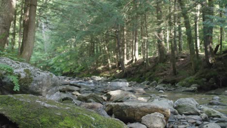 mossy rocks along mountain brook with pan right 2