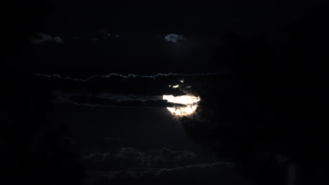 Una-Brillante-Luna-Azul-Llena-Detrás-De-Los-árboles-Y-El-Cielo-Nublado-Por-La-Noche