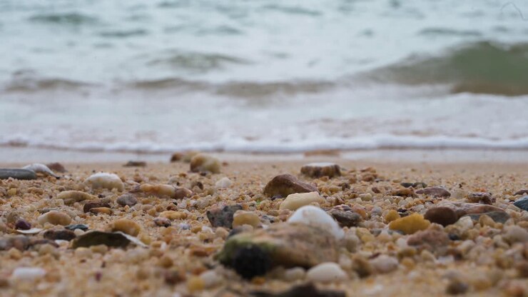 A low-angle of eroded seashells laying on the beach sand as calm tide sea waves can be seen in the background