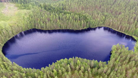 stunning hovering drone video of a forest lake in the finnish wilderness