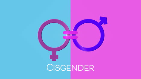 animation of text cisgender, male and female gender symbols joined by equals sign, on pink and blue