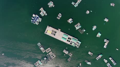 grandes plataformas de piscifactorías de aguas abiertas en hong kong, vista aérea