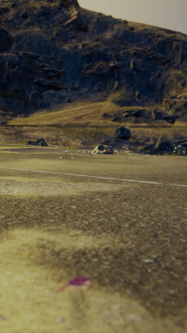 사막 풍경 을 가로질러 가는 길