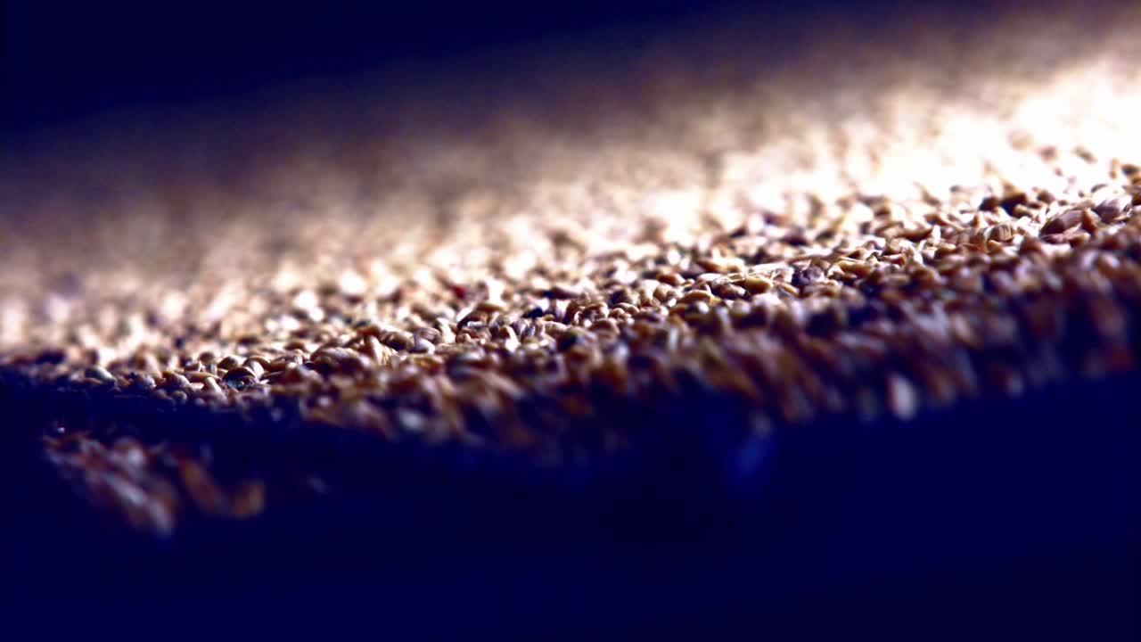 공장의 중력 분리기에서 흔들리는 커피콩의 거시적 관점