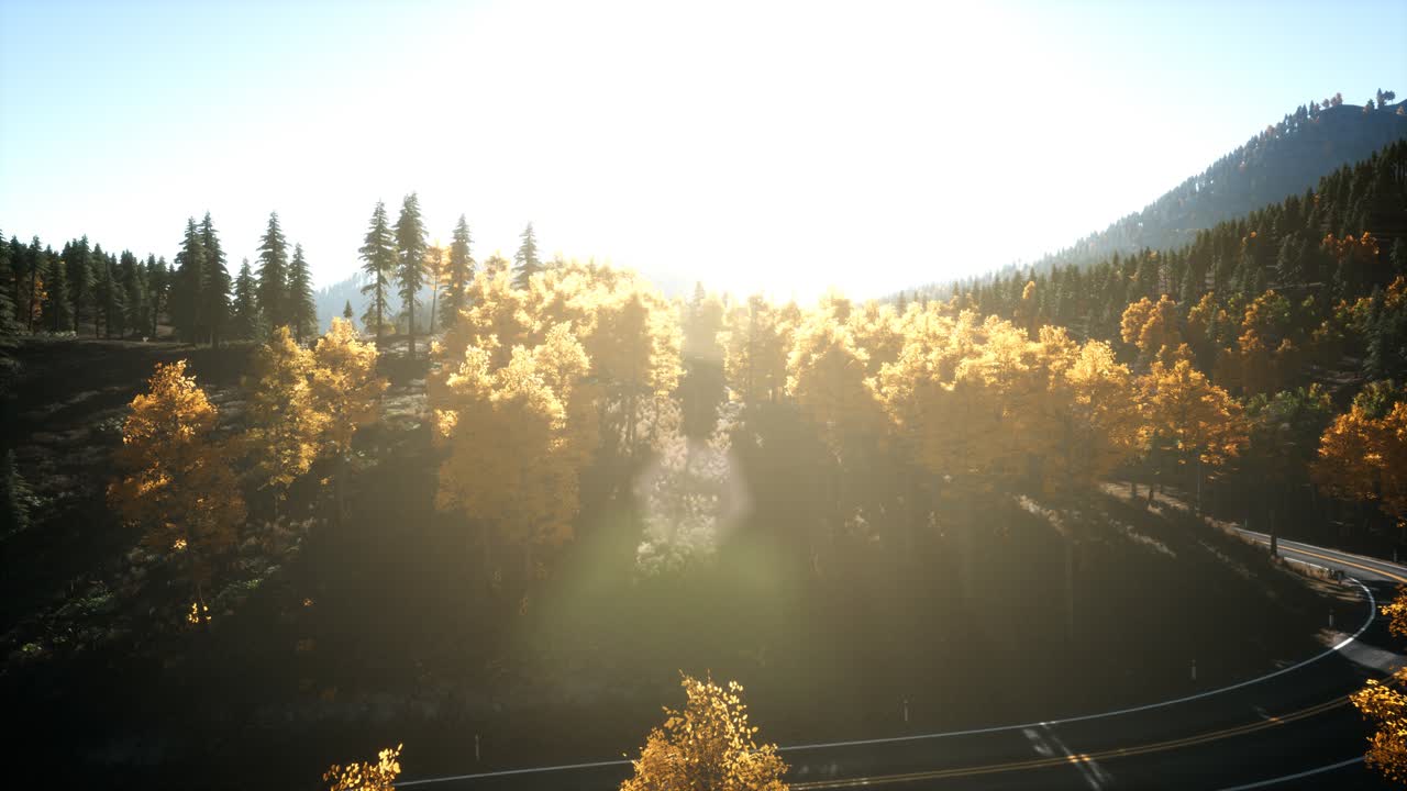 해질녘 산에 있는 소나무 숲 위로 공중 드론 보기 비행