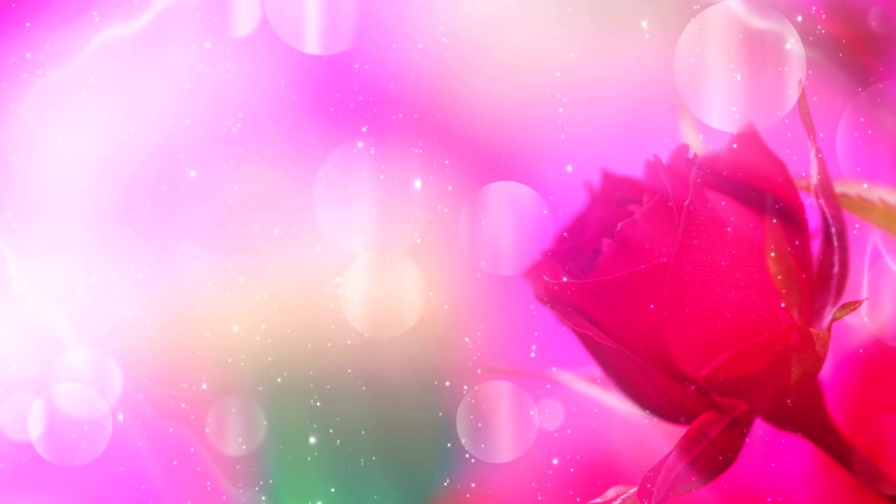 반이는 꽃의 배경 루프