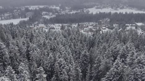 snowy mountain village