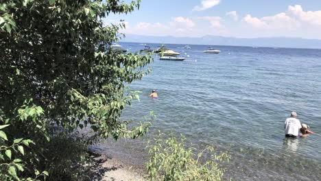 people play in the shallows of lake tahoe