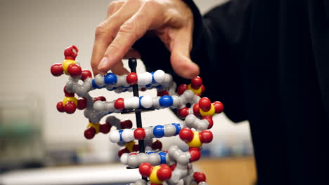 Ein-College-Professor-Für-Wissenschaftsbiologie,-Der-Studenten-Das-Menschliche-Genom-Mit-Einem-DNA-Doppelhelix-Molekül-In-Seinem-Klassenzimmer-Beibringt