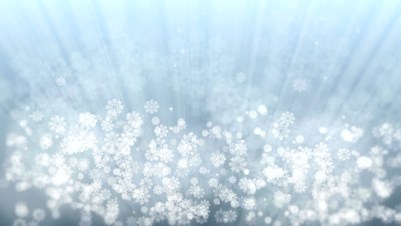 반이는 별과 눈송이와 함께 휴일 광선