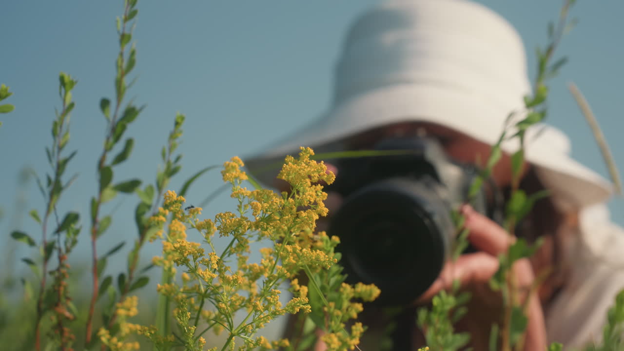 Photographer in white hat capturing vibrant yellow wildflowers in sunlit meadow while crouched behind blooming stems and soft foliage, slightly blurred face enhances artistic focus