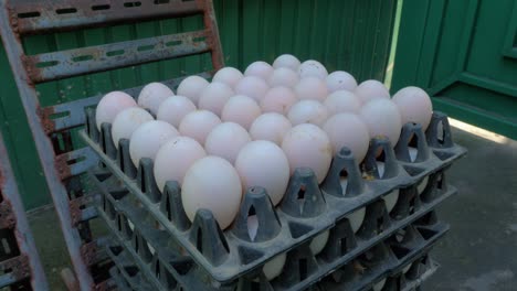 stacks of black plastic egg flats full of eggs sitting next to door of industrial factory