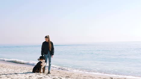 young female playing and walking with great swiss mountain dog on beach