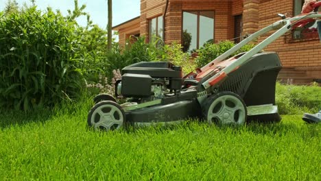 lawn mower cutting the grass. gardening activity. cutting grass with petrol driven lawn mower in sunny garden. gardener working with  mower machine in the garden. lawn mower cutting green grass