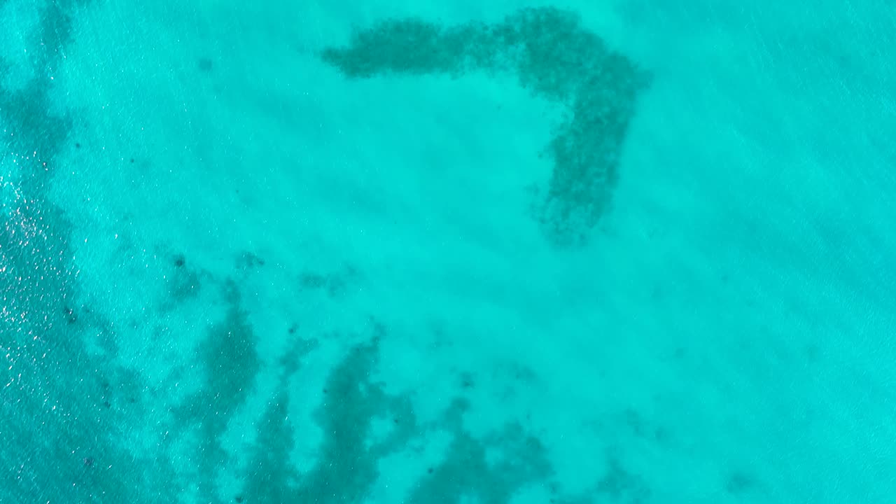 Top Down Shot Of Marvelous Cabo Pulmo National Park, Mexico's Baja California Peninsula