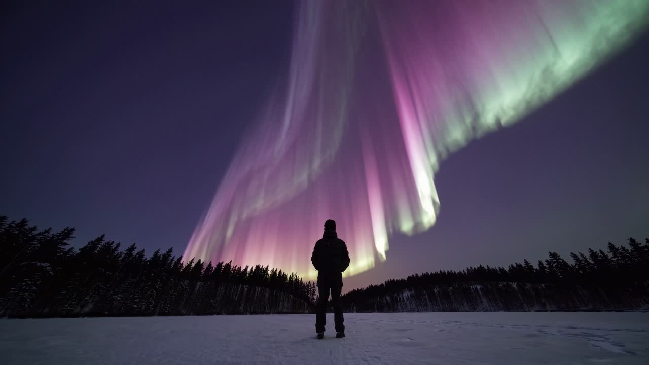Photographer is standing in a snowy field, admiring a breathtaking display of pink and green northern lights illuminating the night sky above a serene winter forest
