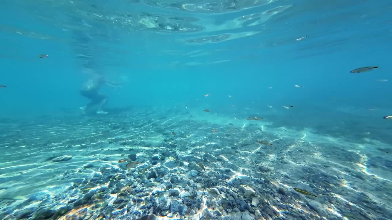 una hermosa escena submarina de turquesa cristalina