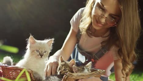 close-up view of a caucasian young woman lying on green grass and petting little cats in a basket in the park