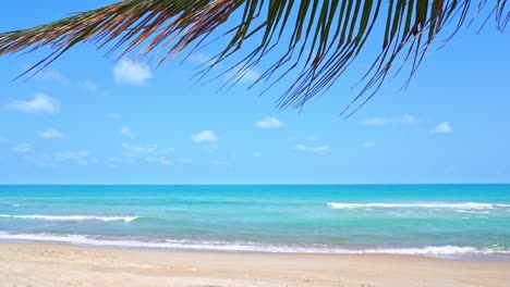 tropical palms beach with branches swaying in foreground and cloudy sky over beautiful turquoise sea water