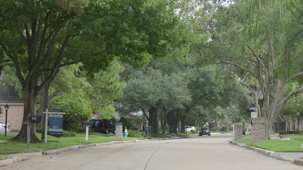 una tranquila calle residencial bordeada de árboles en houston, texas