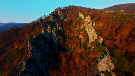 FPV-loosing-touch-to-drone-pilot-and-crashing-into-a-beautifully-gloomy-late-fall-forest