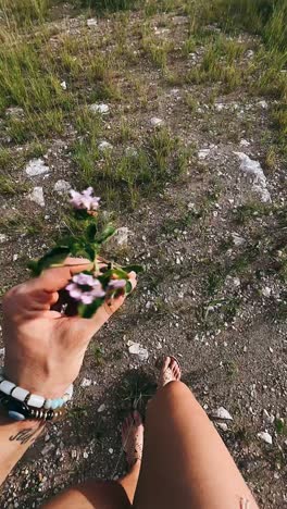 person holding a small flower on a nature walk