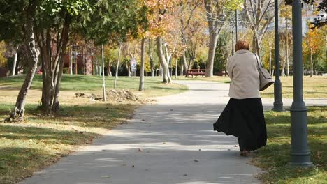 woman in hijab walking in a park