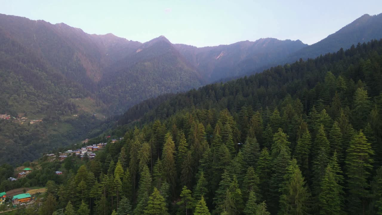 tiro de drone de un bosque en el valle de sainj en himachal pradesh cerca de manali, kasol