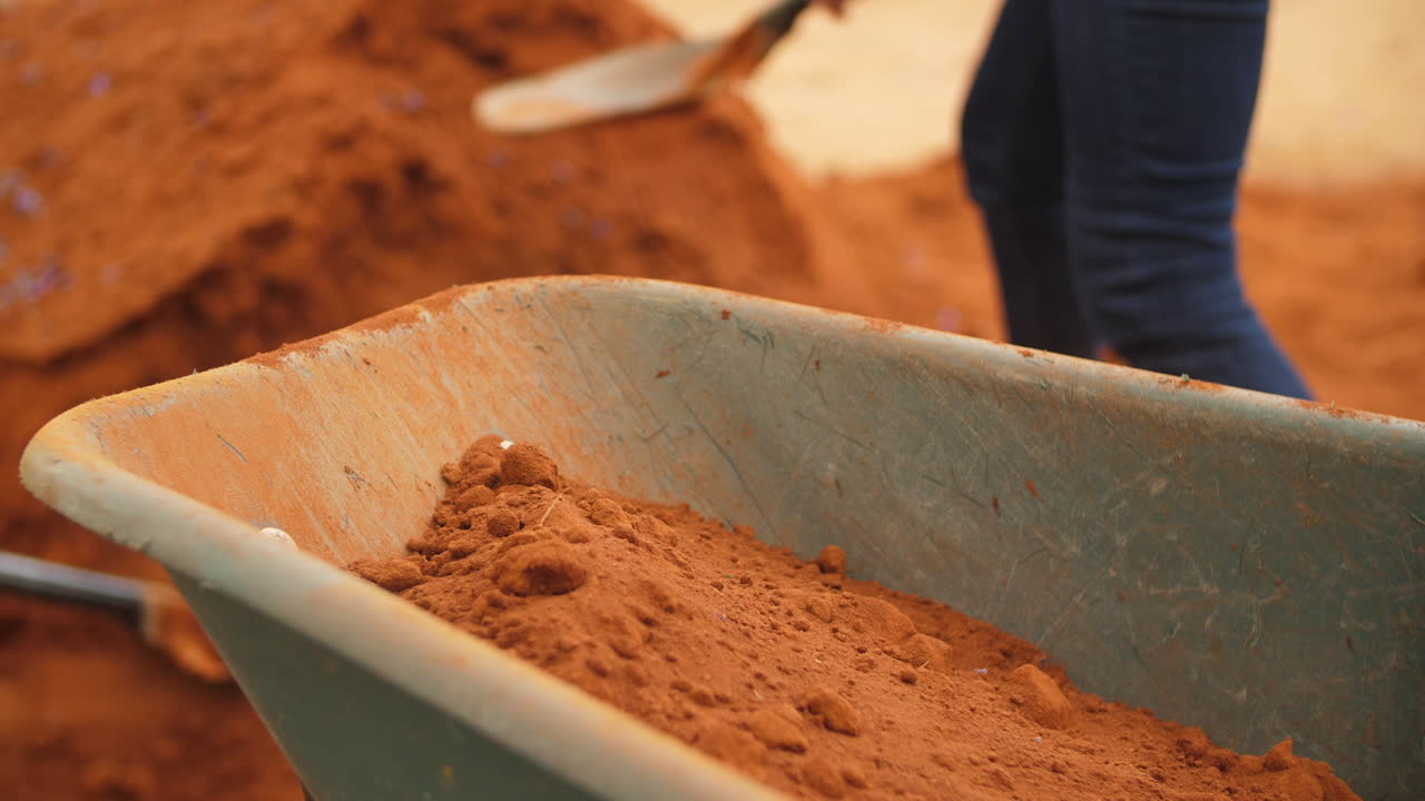 Volunteers shoveling soil into wheelbarrow