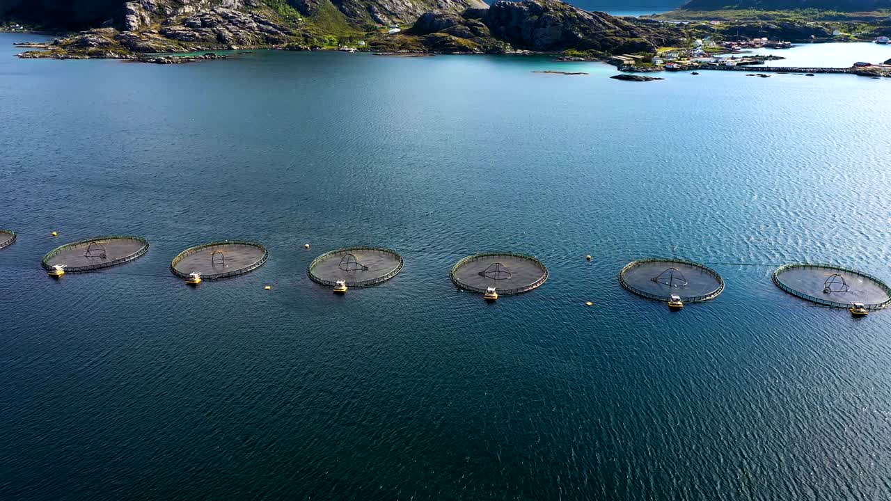 노르웨이에서 연어  ⁇ 시를 하는 공중 촬영