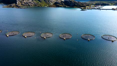 aerial footage farm salmon fishing in norway