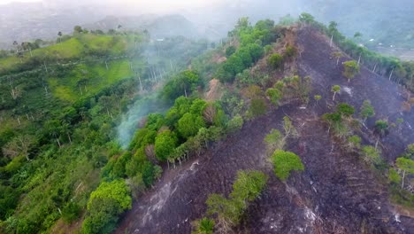 aerial view of rain forest deforestation, vanishing woods in amazon, brazil - tracking, drone shot