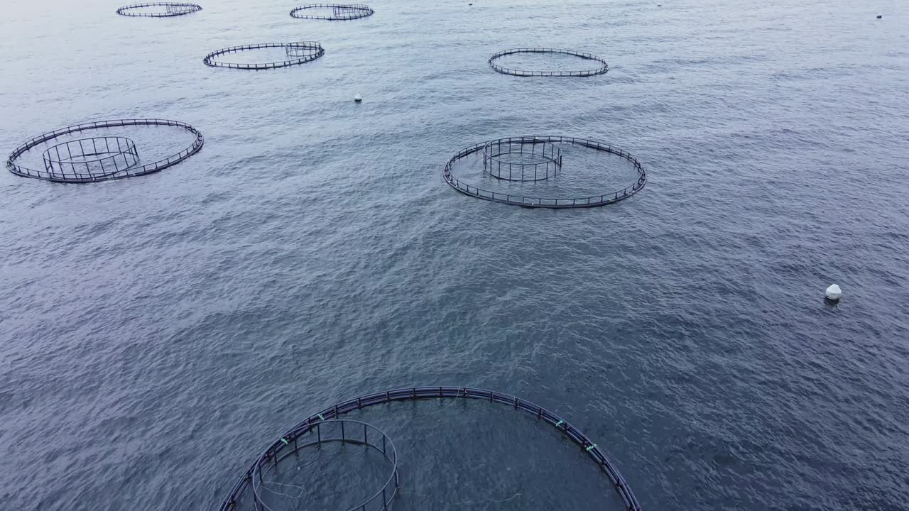 터키의 수산식물 생선 농장은 수산물 생선 제품을 시장에 공급합니다.