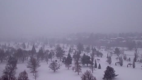 aerial view of an open forest space with snow actively falling