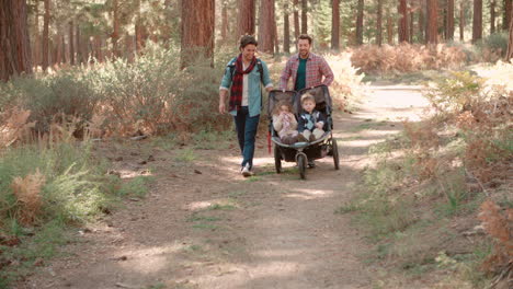 male parents pushing stroller with two kids through a forest