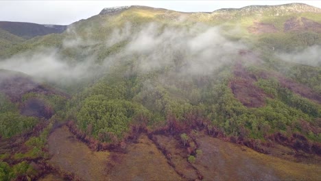 vuelo aéreo sobre montañas nubladas y bosques verdes y rojos en tasmania en australia, tiro amplio moviéndose a la derecha