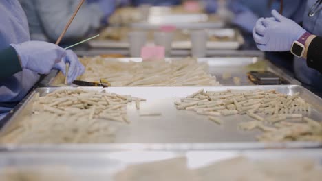 tracking shot of production staff rolling joints with marijuana kief, slow motion