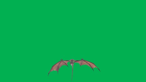 flying dragon motion graphics with green screen background