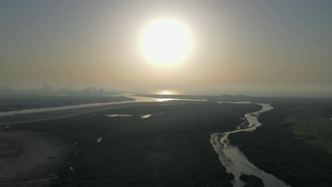 drone view of al zorah mangroves in ajman, the thick natural mangroves in the united arab emirates