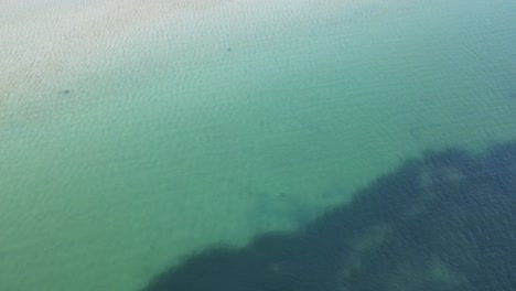 Drone-aerial-pan-down-to-tropical-crystal-clear-blue-water-in-Tasmania