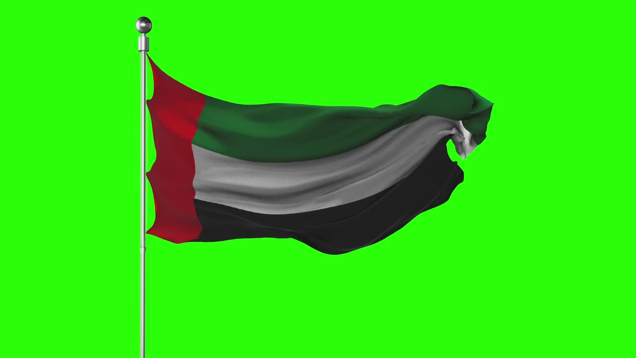 United Arab Emirates national flag waving on green screen. Chroma key animation. UAE politics illustration