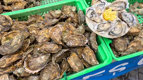 fresh oysters showcased in green baskets