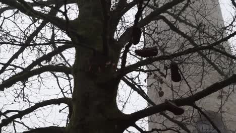 slow camera pan movement on a tree with some running and hiking shoes hanging in it, woth stone tower in background, cold autumn weather