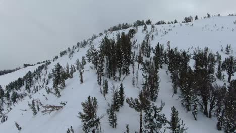 4k drone aerial footage of a group of skiers sitting on a ridge about to go down a steep hill in the snowy backcountry of the sierra nevada mountains in lake tahoe